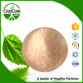 High Quality Organic Slow Release NPK Fertilizer